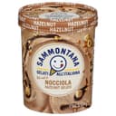 Nocciola Hazelnut Gelato