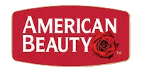 American Beauty